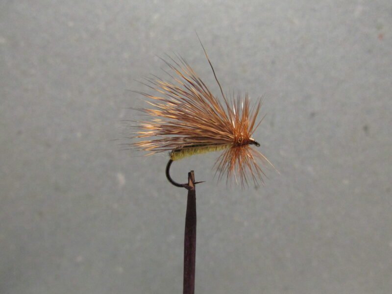 Sedge Chevreuil