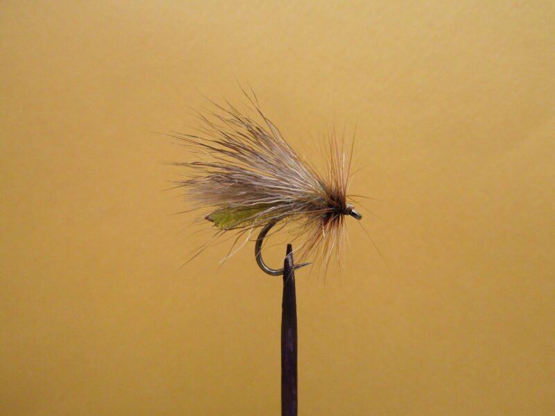 Sedge Extended Body